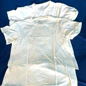 Two fruit of the loom T-shirts